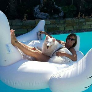 Meet your Posher, Karen